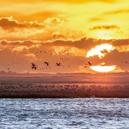 Haus Himmelblau Am Jabeler Jabel